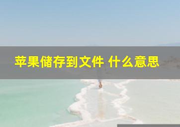 苹果储存到文件 什么意思